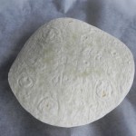 Ponemos la tortilla sobre el molde